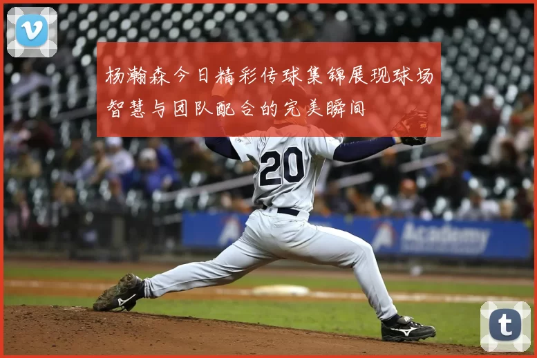 杨瀚森今日精彩传球集锦展现球场智慧与团队配合的完美瞬间