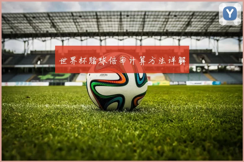 世界杯赌球倍率计算方法详解