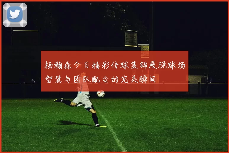 杨瀚森今日精彩传球集锦展现球场智慧与团队配合的完美瞬间