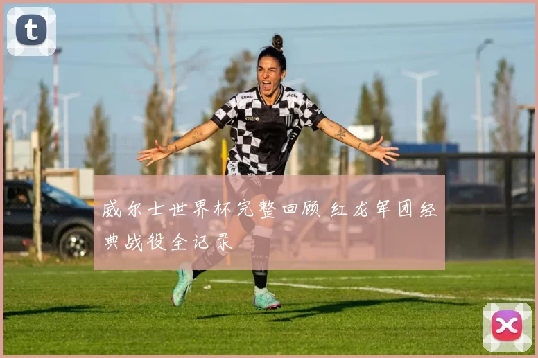 威尔士世界杯完整回顾 红龙军团经典战役全记录
