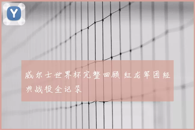 威尔士世界杯完整回顾 红龙军团经典战役全记录