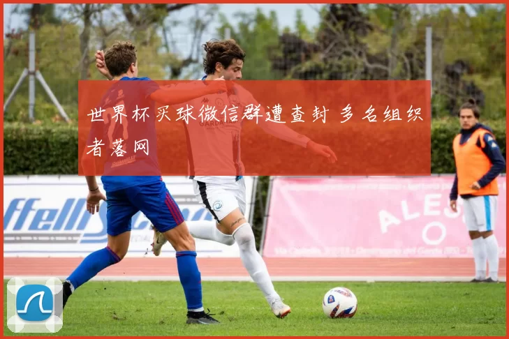 世界杯买球微信群遭查封 多名组织者落网