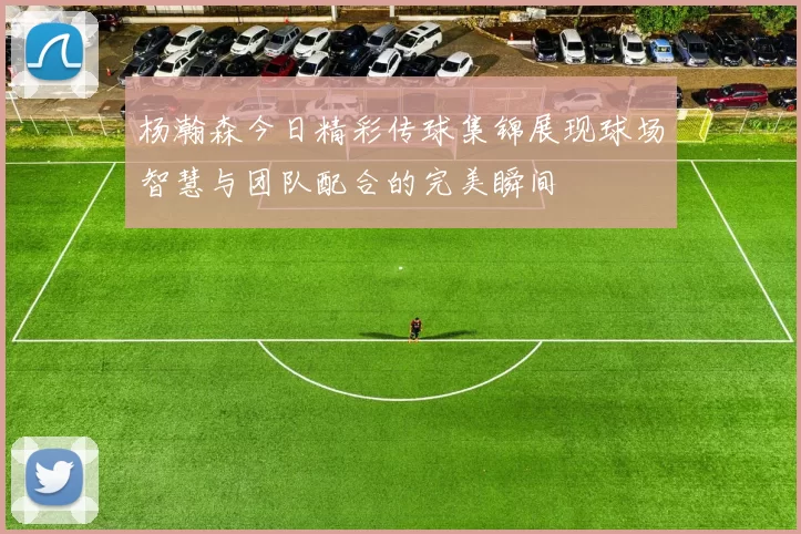 杨瀚森今日精彩传球集锦展现球场智慧与团队配合的完美瞬间