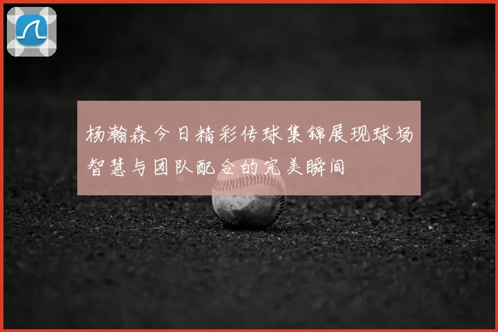 杨瀚森今日精彩传球集锦展现球场智慧与团队配合的完美瞬间