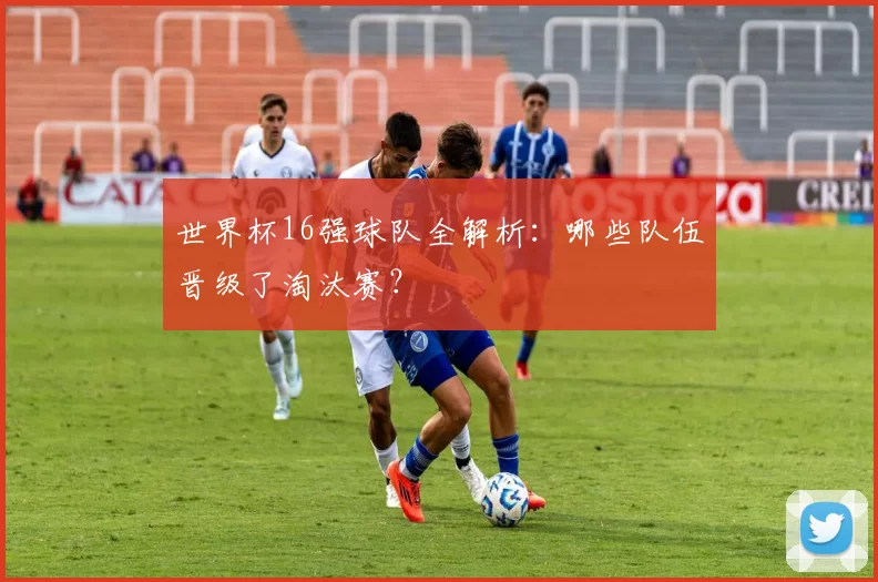 世界杯16强球队全解析:哪些队伍晋级了淘汰赛?