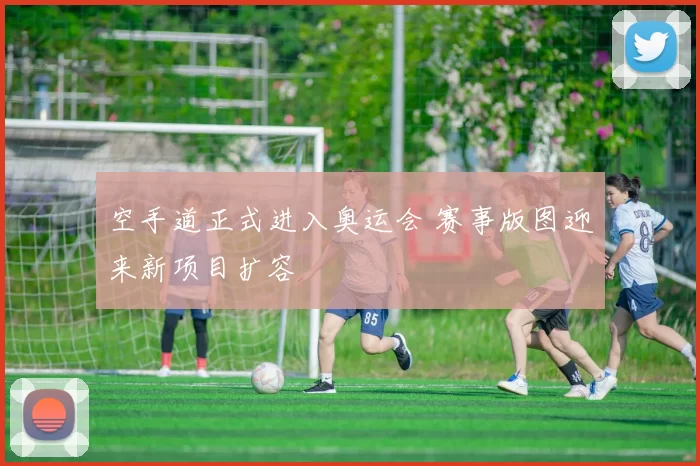 空手道正式进入奥运会 赛事版图迎来新项目扩容