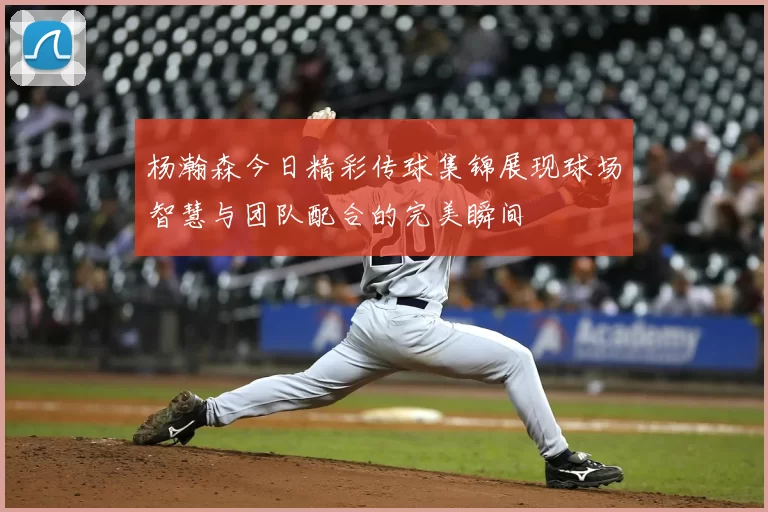 杨瀚森今日精彩传球集锦展现球场智慧与团队配合的完美瞬间
