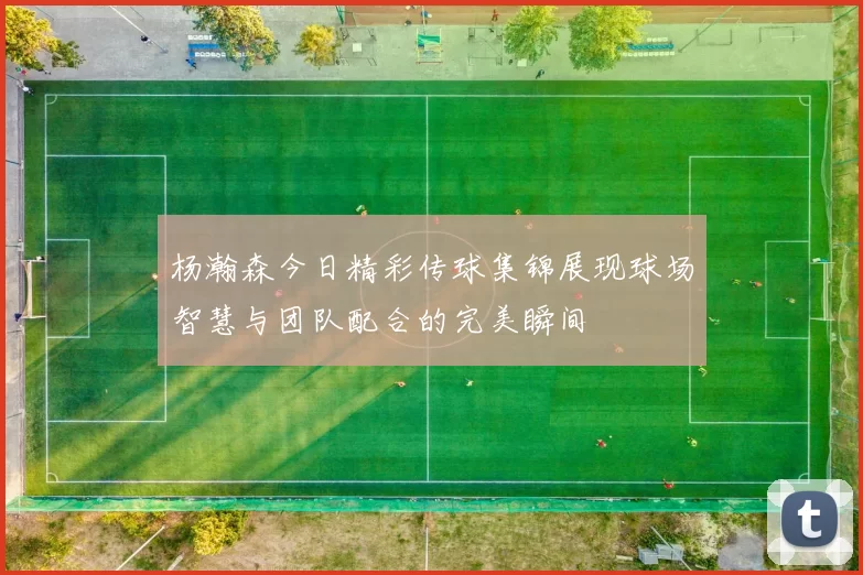 杨瀚森今日精彩传球集锦展现球场智慧与团队配合的完美瞬间
