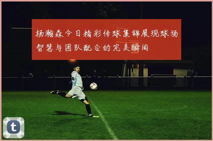 杨瀚森今日精彩传球集锦展现球场智慧与团队配合的完美瞬间