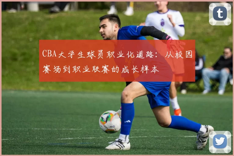 CBA大学生球员职业化道路：从校园赛场到职业联赛的成长样本