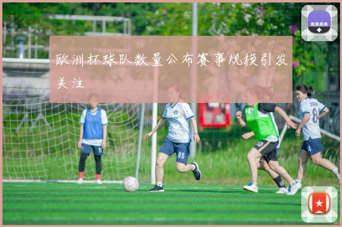 欧洲杯球队数量公布赛事规模引发关注