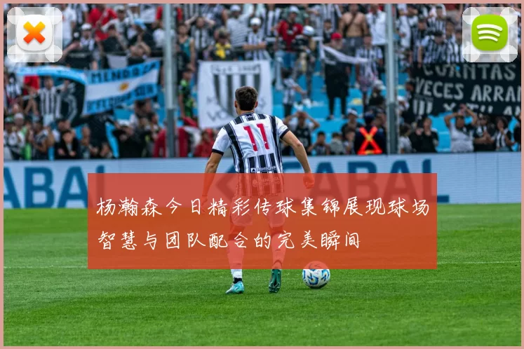 杨瀚森今日精彩传球集锦展现球场智慧与团队配合的完美瞬间