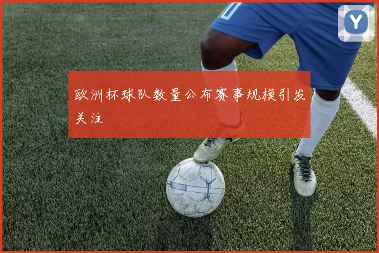 欧洲杯球队数量公布赛事规模引发关注