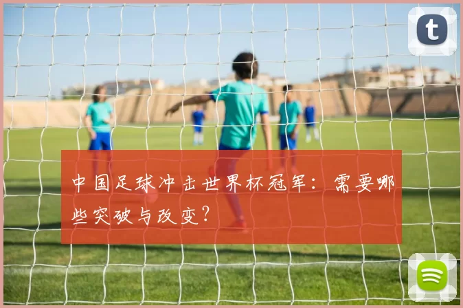 中国足球冲击世界杯冠军:需要哪些突破与改变?