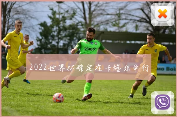 2022世界杯确定在卡塔尔举行