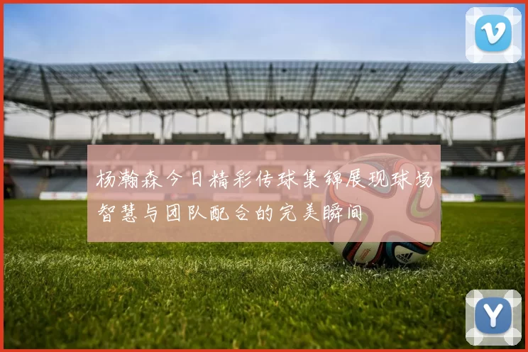 杨瀚森今日精彩传球集锦展现球场智慧与团队配合的完美瞬间
