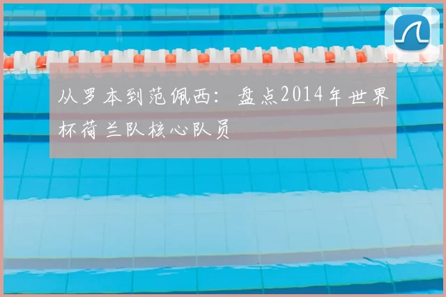 从罗本到范佩西：盘点2014年世界杯荷兰队核心队员