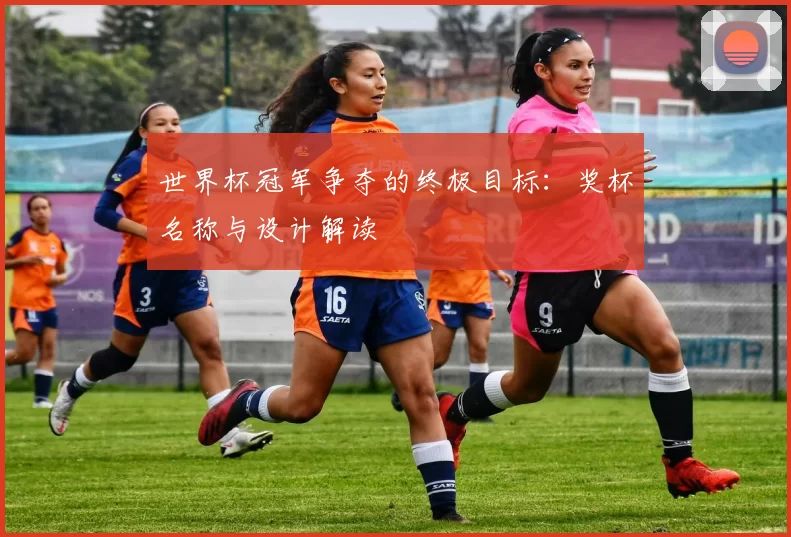 世界杯冠军争夺的终极目标:奖杯名称与设计解读